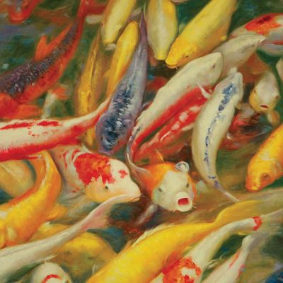 Koi