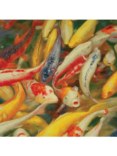 Koi